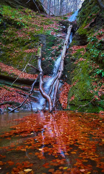 Cachoeira Que Flui Uma Parede Rocha Uma Bacia Folhas Caídas — Fotografia de Stock