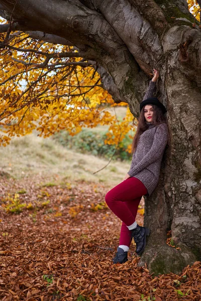 Egy Gyönyörű Spanyol Fiatal Portréja Egy Őszi Erdőben — Stock Fotó