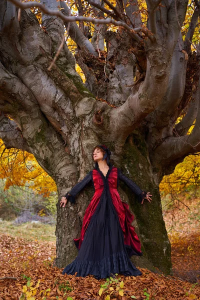 Πορτρέτο Μιας Όμορφης Ισπανίδας Νεαρής Γυναίκας Ένα Φθινοπωρινό Δάσος — Φωτογραφία Αρχείου