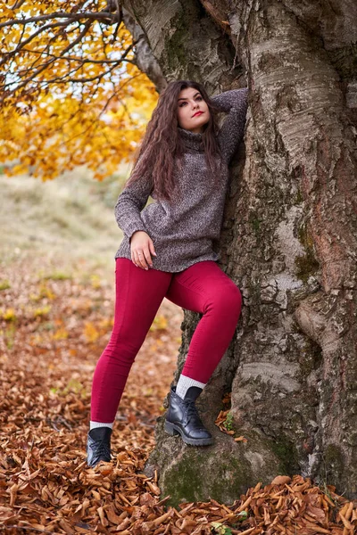Portrét Krásné Hispánské Mladé Ženy Podzimním Lese — Stock fotografie