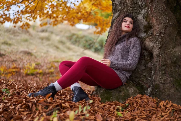 Portret Van Een Mooie Spaanse Jonge Vrouw Een Herfstbos — Stockfoto