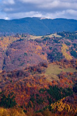 Dağların sonbahar manzarası ve çeşitli renkli ormanlar