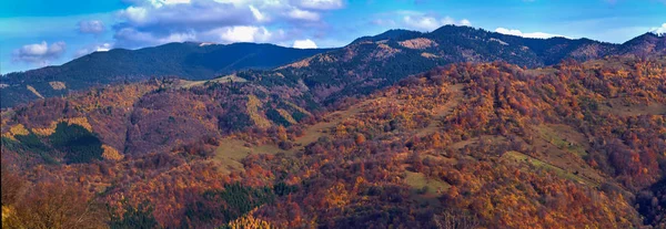 Podzimní Krajina Hor Různé Barevné Lesy Royalty Free Stock Fotografie