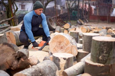Oduncu testere ile kayın kütükleri üzerinde çalışıyor.