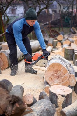 Oduncu testere ile kayın kütükleri üzerinde çalışıyor.