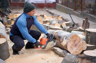 Oduncu testere ile kayın kütükleri üzerinde çalışıyor.