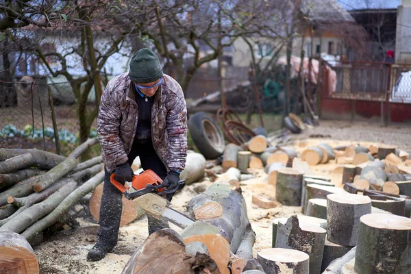 Lumberjack Working Beech Logs Chainsaw — ストック写真
