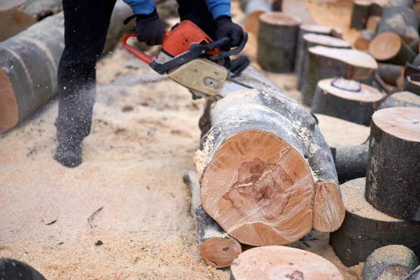 Anonymous Lumberjack Cutting Logs Chainsaw — ストック写真