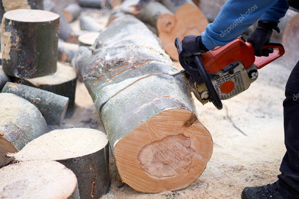 Anonymous lumberjack cutting logs with chainsaw