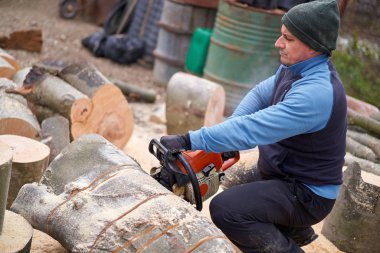 Sawyer elektrikli testereyle büyük kayın kütüklerini kesiyor.