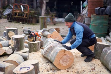 Oduncu zıplama için kayın kütüklerini hareket ettiriyor