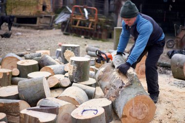 Oduncu zıplama için kayın kütüklerini hareket ettiriyor