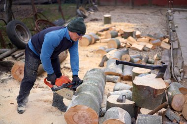 Sawyer elektrikli testereyle büyük kayın kütüklerini kesiyor.
