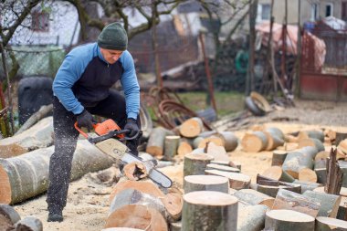 Sawyer elektrikli testereyle büyük kayın kütüklerini kesiyor.