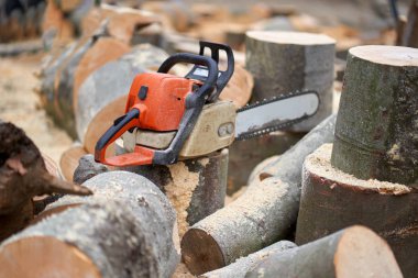 Kütük ve testere kesmek için oduncu araçları