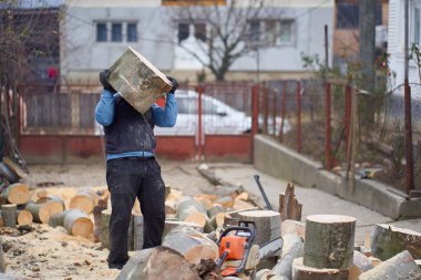 Oduncu, zıplamak için kayın kütüklerini kaldırıyor