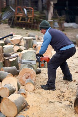 Sawyer elektrikli testereyle büyük kayın kütüklerini kesiyor.