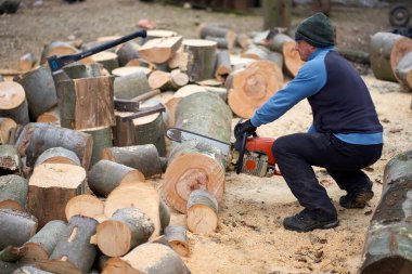 Sawyer elektrikli testereyle büyük kayın kütüklerini kesiyor.