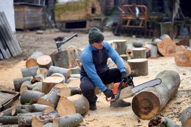 Sawyer elektrikli testereyle büyük kayın kütüklerini kesiyor.