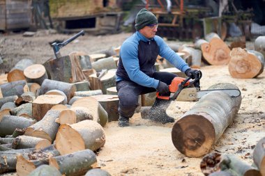 Sawyer elektrikli testereyle büyük kayın kütüklerini kesiyor.