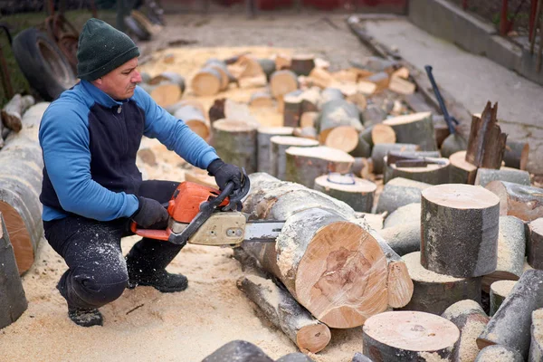 Sawyer Bucking Big Beech Logs Chainsaw — 스톡 사진