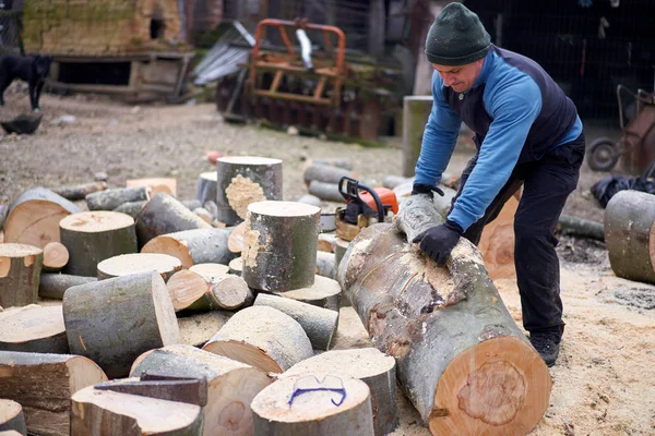 Lumberjack Moving Beech Logs Bucking — 스톡 사진