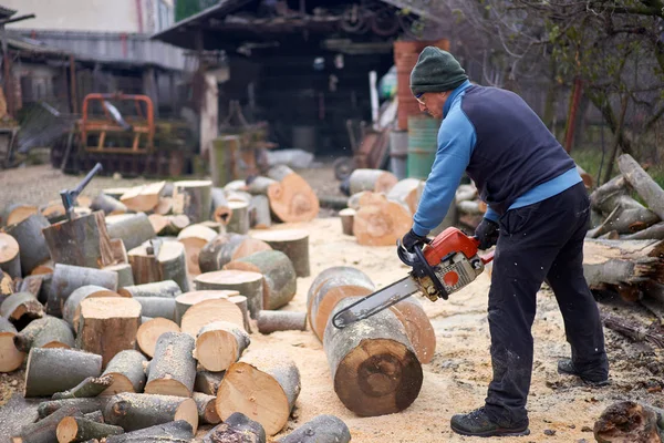 Sawyer Bucking Big Beech Logs Chainsaw — Stock Photo, Image