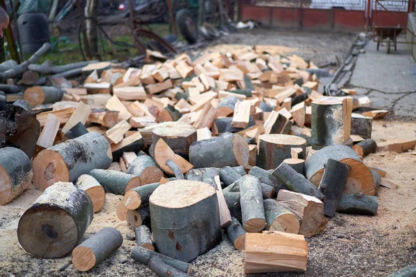Huge Pile Split Wood Backyard — 스톡 사진