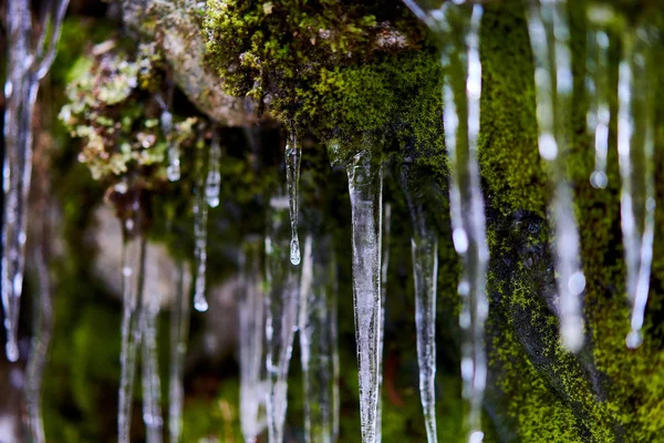 凍った滝から山の上に美しい形のつらら — ストック写真