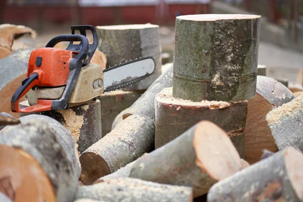 Houtkapgereedschap Voor Boomstammen Kettingzaag — Stockfoto