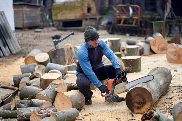 Sawyer elektrikli testereyle büyük kayın kütüklerini kesiyor.
