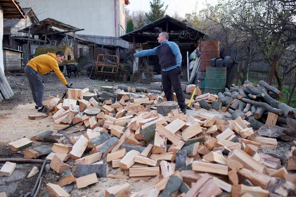 Baba ve oğul odunları balta ve pençe ile kırıyorlar.