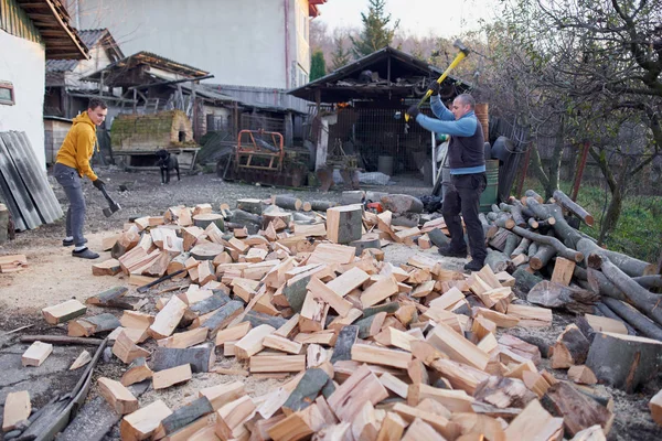 Father Son Splitting Wood Logs Axes Maul — 스톡 사진