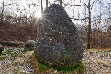 Romanya 'daki doğal parktaki tortulu kayalar, betonlar