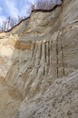 Romanya 'daki doğal parktaki tortulu kayalar, betonlar
