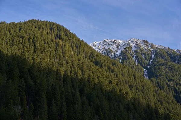 Paisagem Com Pinheiros Montanhas Inverno — Fotografia de Stock