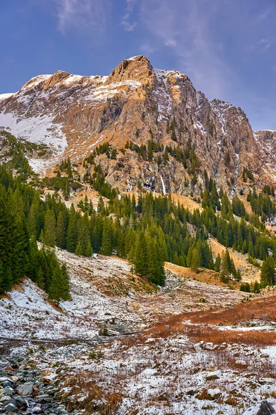 Landskap Med Pinjeträd Och Berg Vintern — Stockfoto