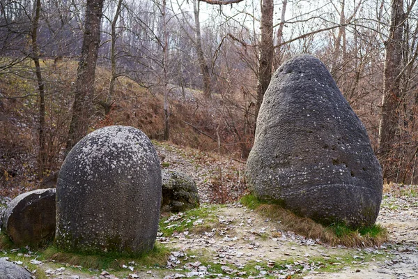 Rochers Sédimentaires Concrétions Dans Parc Naturel Roumanie — Photo