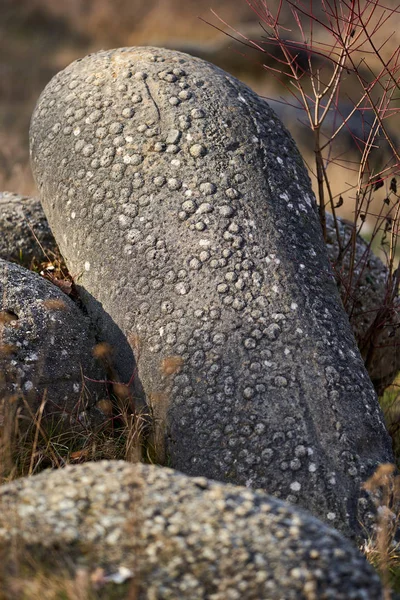 Rochers Sédimentaires Concrétions Dans Parc Naturel Roumanie — Photo