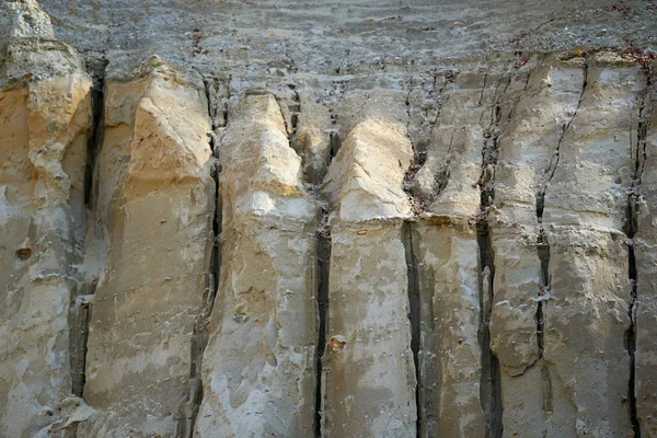 Sedimentaire Rotsen Beton Natuurpark Roemenië — Stockfoto