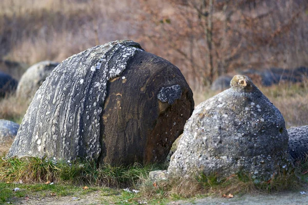 Rochers Sédimentaires Concrétions Dans Parc Naturel Roumanie — Photo