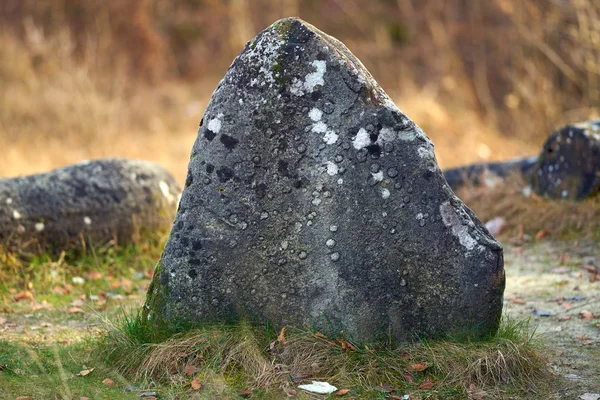 Rochers Sédimentaires Concrétions Dans Parc Naturel Roumanie — Photo