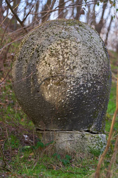 Romanya Daki Doğal Parktaki Tortulu Kayalar Betonlar — Stok fotoğraf