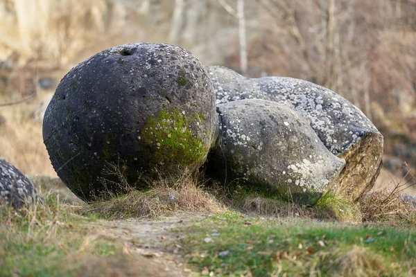 罗马尼亚自然公园中的沉积岩 混凝土 — 图库照片