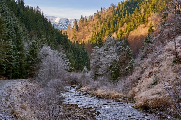 Paesaggio Invernale Montagna Con Pini Fiume — Foto Stock
