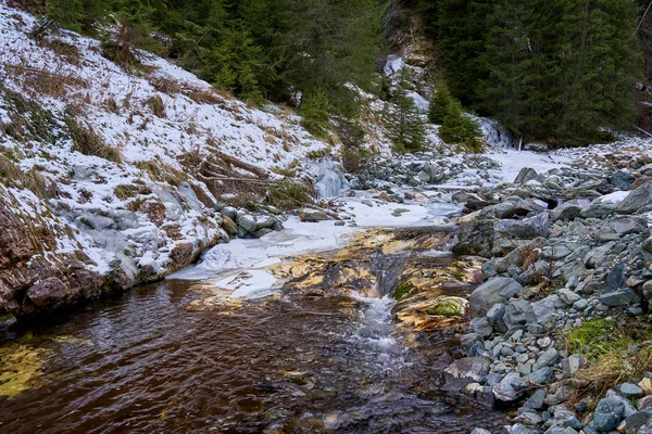 Zimní Krajina Horách Borovicemi Řekou — Stock fotografie