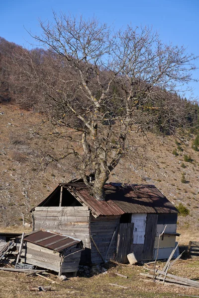 Παλιά Ξύλινη Σιταποθήκη Στα Βουνά — Φωτογραφία Αρχείου