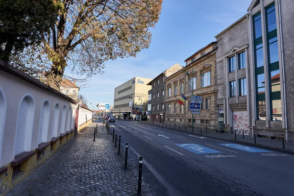 Brasov Rumänien December 2019 Gatuliv Brasovs Gamla Stadskärna Ett Populärt — Stockfoto