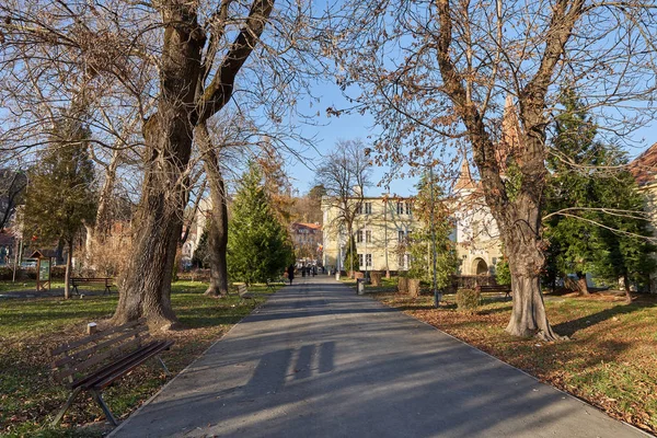 ブラゾフBv ルーマニア 12月の15 2019 ブラゾフ市の旧市街地でのストリートライフ 人気の観光地 — ストック写真