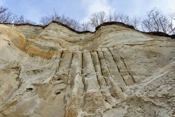 Sedimentaire Rotsen Beton Natuurpark Roemenië — Stockfoto